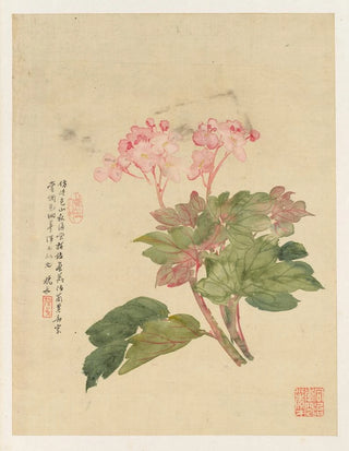 Liang Yuwei - Flowers Pl09.webp