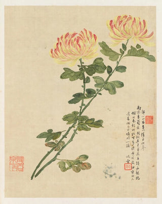 Liang Yuwei - Flowers Pl10.webp