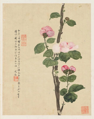 Liang Yuwei - Flowers Pl11.webp