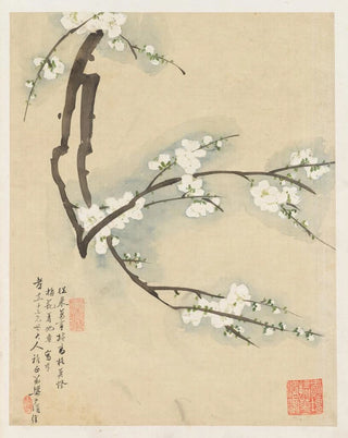 Liang Yuwei - Flowers Pl12.webp