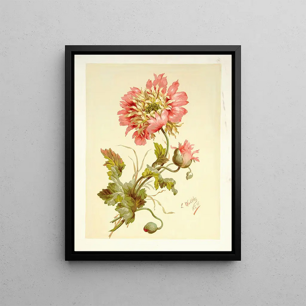 Poppies - Lilly Walther — framed artwork on a wall