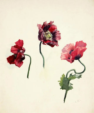 Lilly Walther - Mooniied.webp