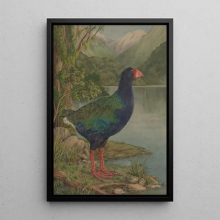 Untitled Takahe - Lily Attey Daff — framed artwork on a wall
