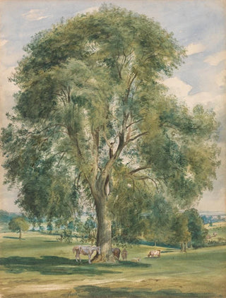 Lionel Constable - A Large Tree in a Summer Landscape a Horse Standing at the Base.webp