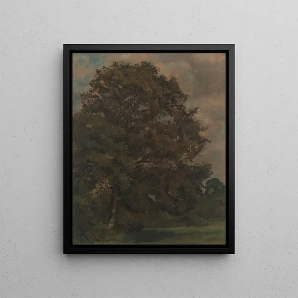 Study of a Ash Tree - Lionel Constable — framed artwork on a wall