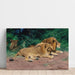 Reproduction of the painting Lions at rest - Wilhelm Kuhnert