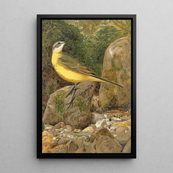 Bergeronnette - Léon Paul Robert — framed artwork on a wall
