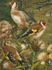 Goldfinch - Léon-Paul Robert — artwork view