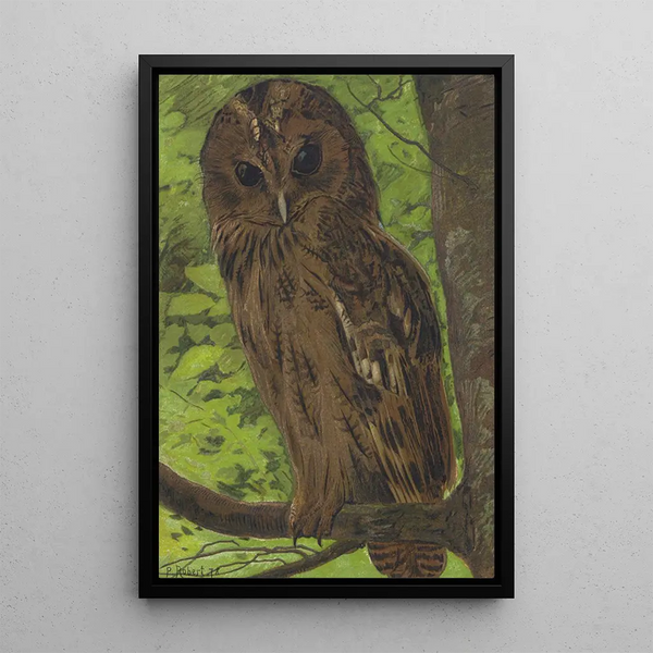 Owl Barn Owl - Léon Paul Robert — framed artwork on a wall