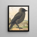 Choucas corbeau - Léon-Paul Robert — framed artwork on a wall