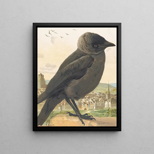 Choucas corbeau - Léon-Paul Robert — framed artwork on a wall