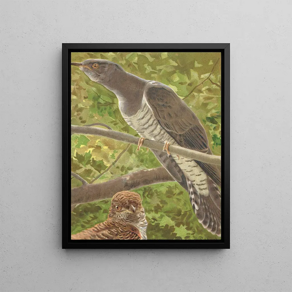 Coucou - Léon-Paul Robert — framed artwork on a wall