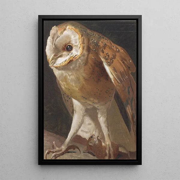 Effraie - Léon Paul Robert — framed artwork on a wall