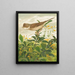 Fauvette grisette - Léon-Paul Robert — framed artwork on a wall