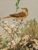 Garden Warbler Painting - Léon-Paul Robert — artwork view