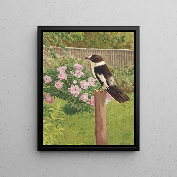 Gobemouches à collier - Léon-Paul Robert — framed artwork on a wall