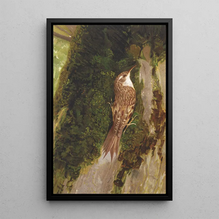 Nuthatch - Léon Paul Robert — framed artwork on a wall