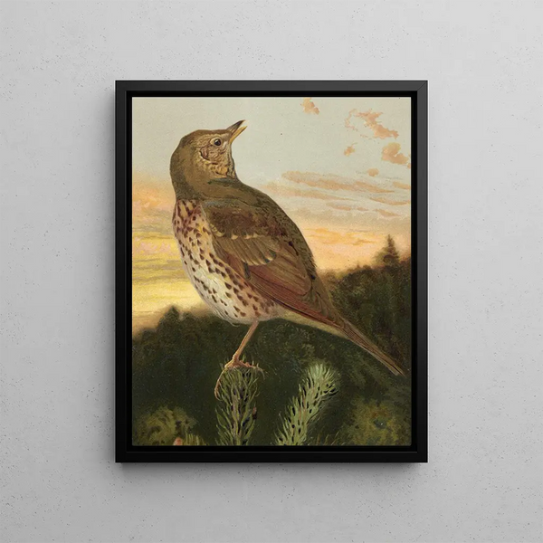 Throstle - Léon-Paul Robert — framed artwork on a wall