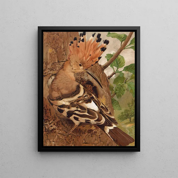 Huppe - Léon-Paul Robert — framed artwork on a wall