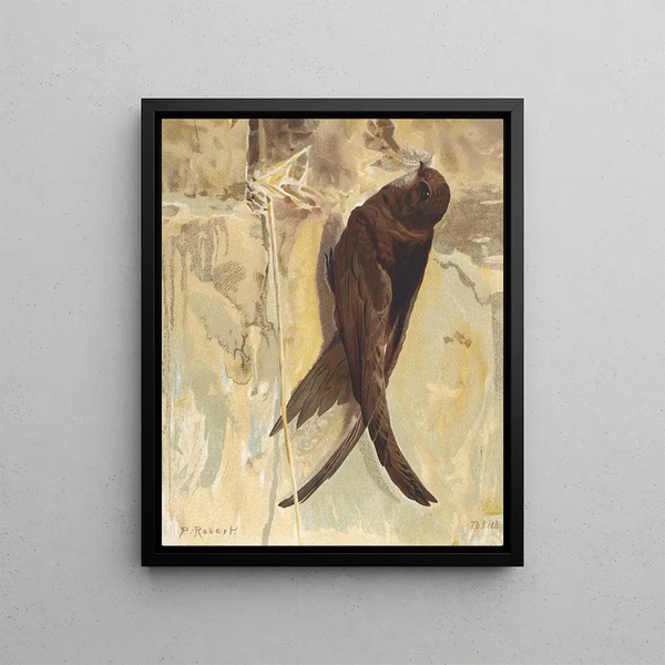 Martinet noir - Léon-Paul Robert — framed artwork on a wall