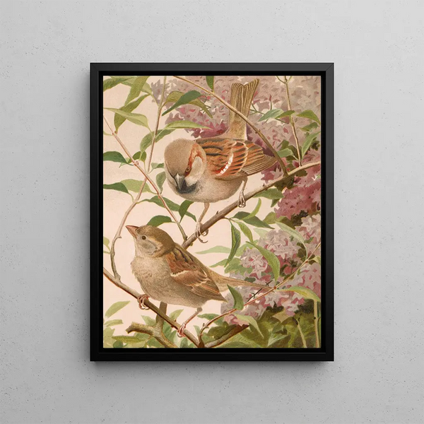 Moineau franc - Léon-Paul Robert — framed artwork on a wall