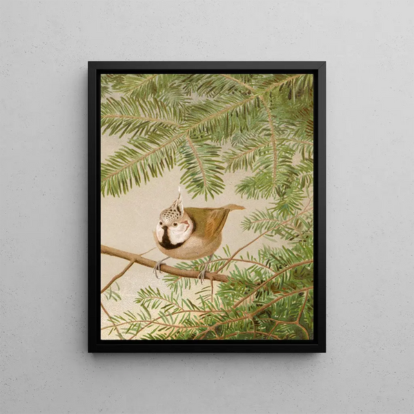Mme Huppe - Léon-Paul Robert — framed artwork on a wall