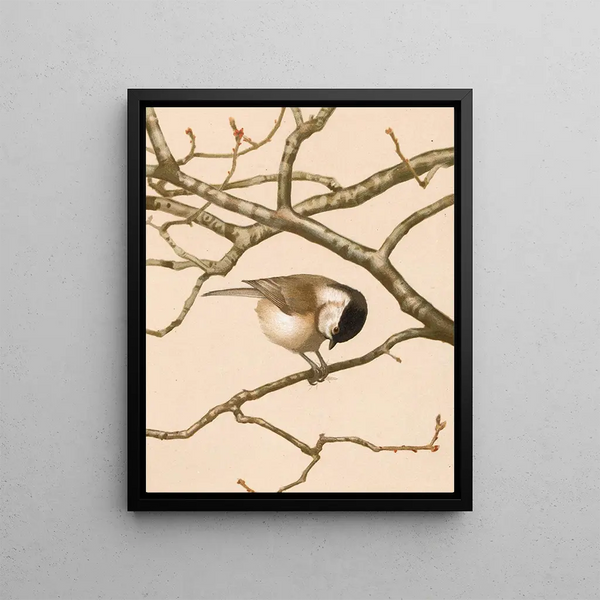 Mme Nonnette - Léon-Paul Robert — framed artwork on a wall