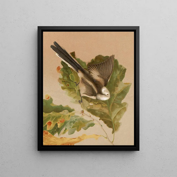 Long-tailed tit - Léon-Paul Robert — framed artwork on a wall