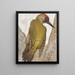 Greenfinch Painting - Léon-Paul Robert — framed artwork on a wall