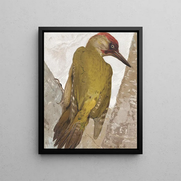 Greenfinch Painting - Léon-Paul Robert — framed artwork on a wall