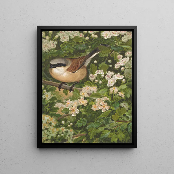 Pie-grièche Painting - Léon-Paul Robert — framed artwork on a wall