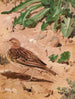 Pipit farlouse - Léon Paul Robert — artwork view