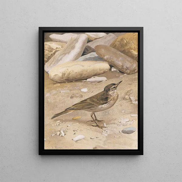 Pipit spioncelle painting - Léon Paul Robert — framed artwork on a wall
