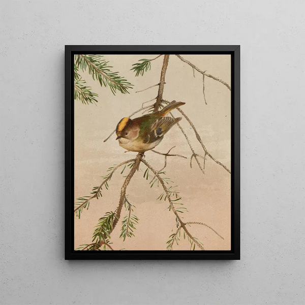 Roitelet Painting - Léon Paul Robert — framed artwork on a wall