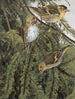 Collection - Léon Paul Robert — artwork view