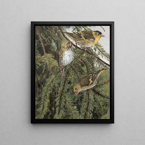 Collection - Léon Paul Robert — framed artwork on a wall