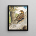 Torcol - Léon Paul Robert — framed artwork on a wall