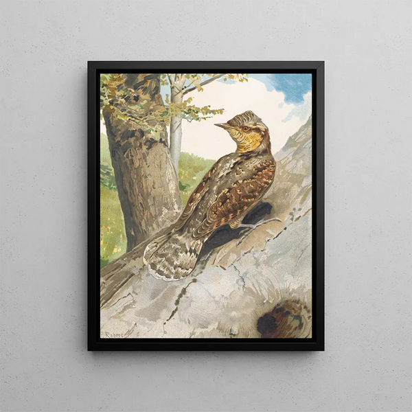 Torcol - Léon Paul Robert — framed artwork on a wall