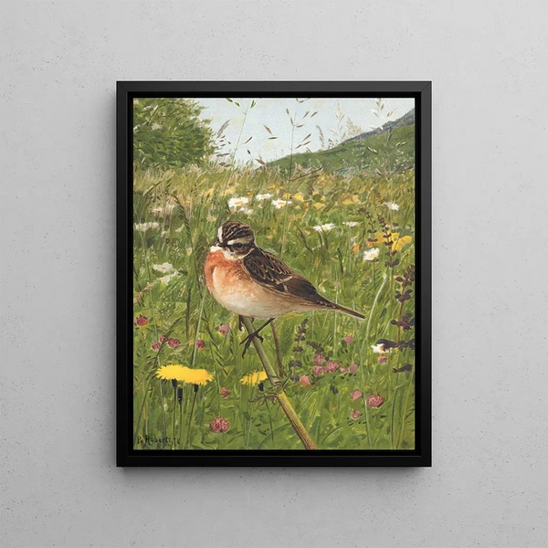 Traquet tarier - Léon Paul Robert — framed artwork on a wall