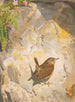 Troglodyte Painting - Léon Paul Robert — artwork view