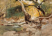 Mission Canyon Santa Barbara - Lockwood de Forest — artwork view