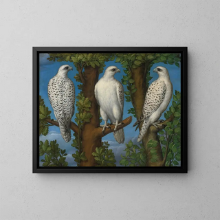 Portrait of a Gyrfalcon seen from three sides - Master Lombard — framed artwork on a wall