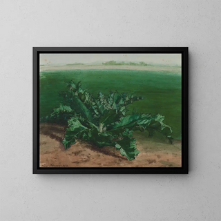 Study of a plant, perhaps a thistle - Léon Bonvin — framed artwork on a wall