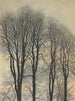 Tree and Sky - Léon Spilliaert — artwork view
