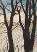Trees in the snow - Léon Spilliaert — artwork view