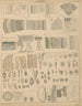 Illustrations for the General Natural History of Oken for all classes Pl002 - Lorenz Oken — artwork view