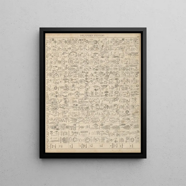 Illustrations for the General Natural History of Oken for all classes Pl003 - Lorenz Oken — framed artwork on a wall