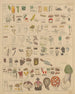 Illustrations for the General Natural History of Oken for All Classes Pl005 - Lorenz Oken — artwork view