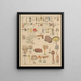 Illustrations for the General Natural History of Oken for all classes Pl006 - Lorenz Oken — framed artwork on a wall