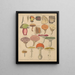 Illustrations for the General Natural History of Oken for all classes Pl008 - Lorenz Oken — framed artwork on a wall